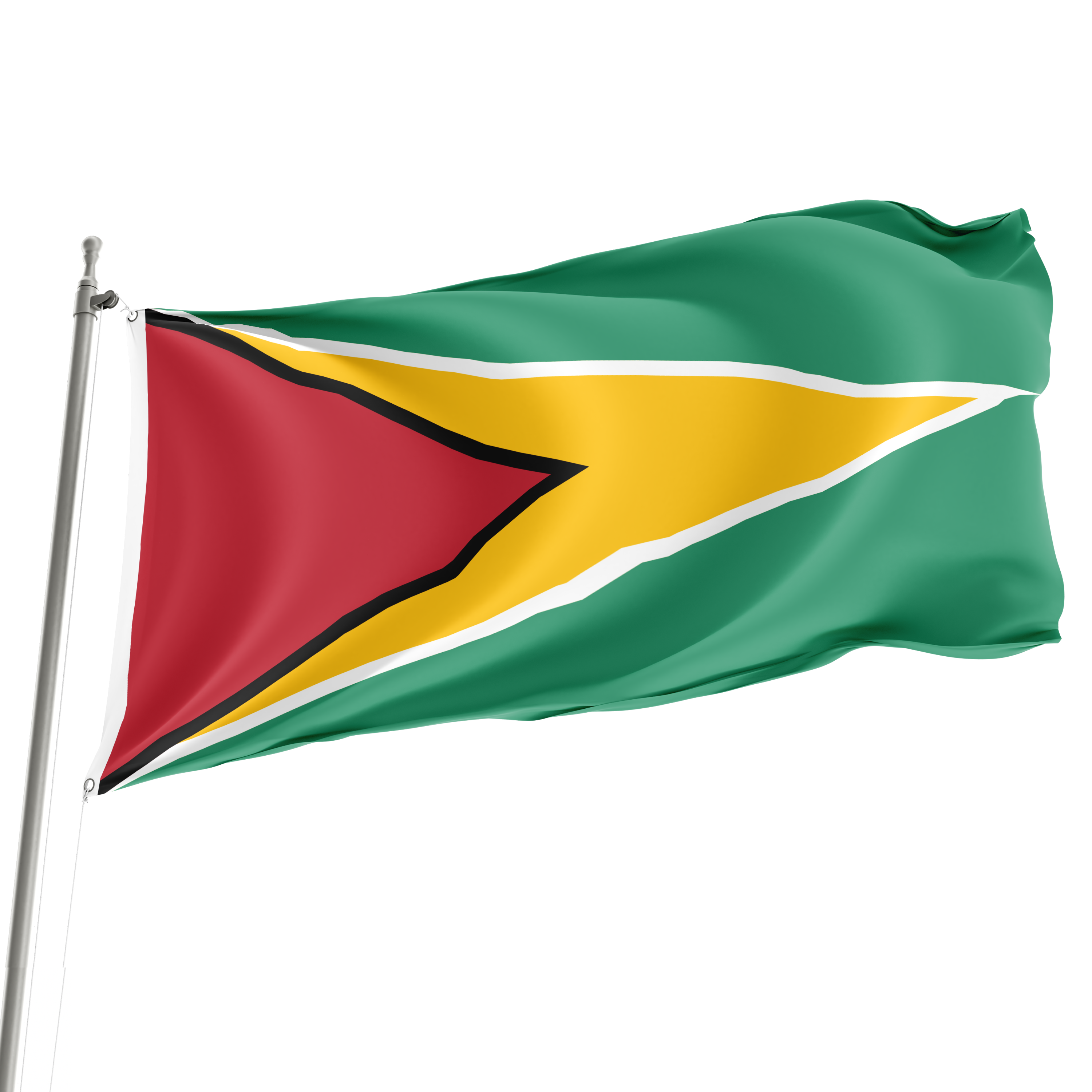 3' x 5' Guyana Flag