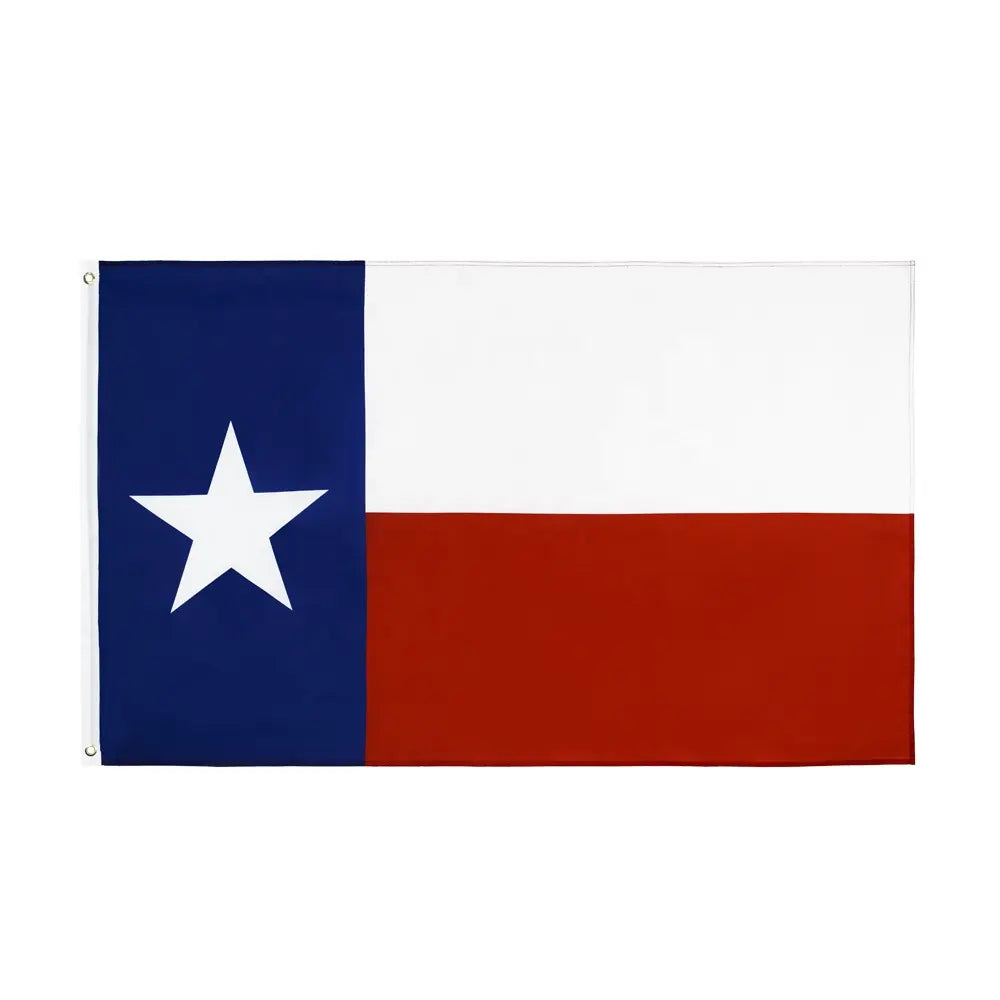 Bandera de Texas de 3' x 5'