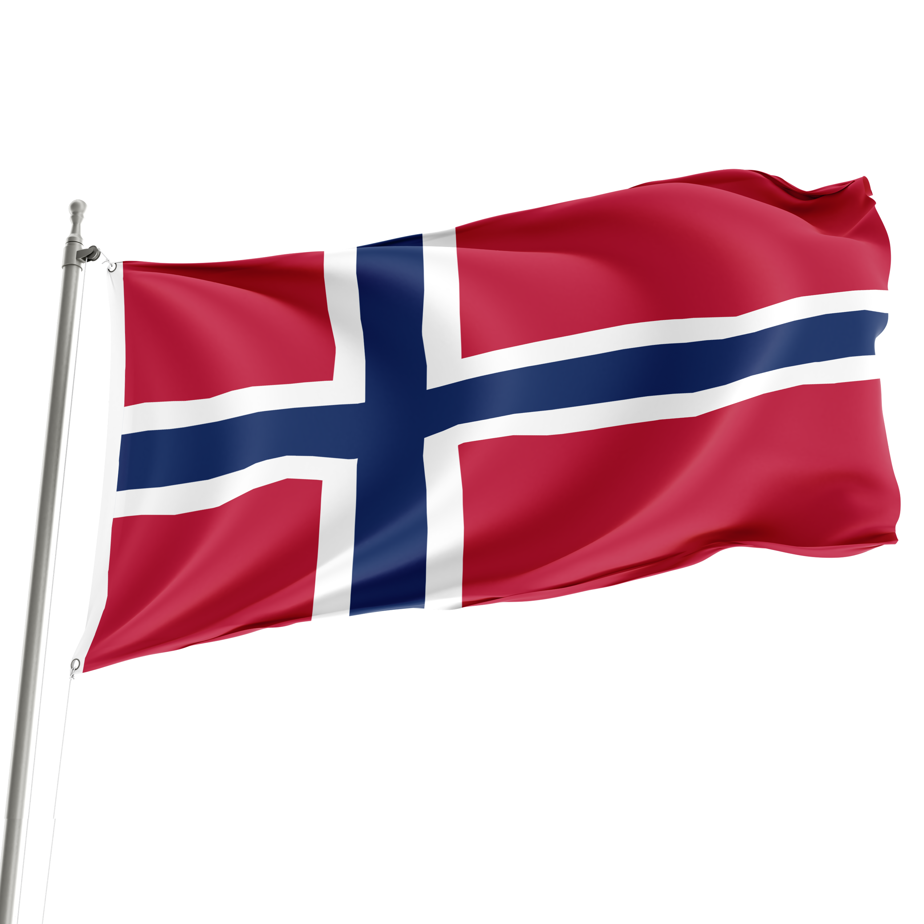 Bandera de Noruega de 3' x 5'