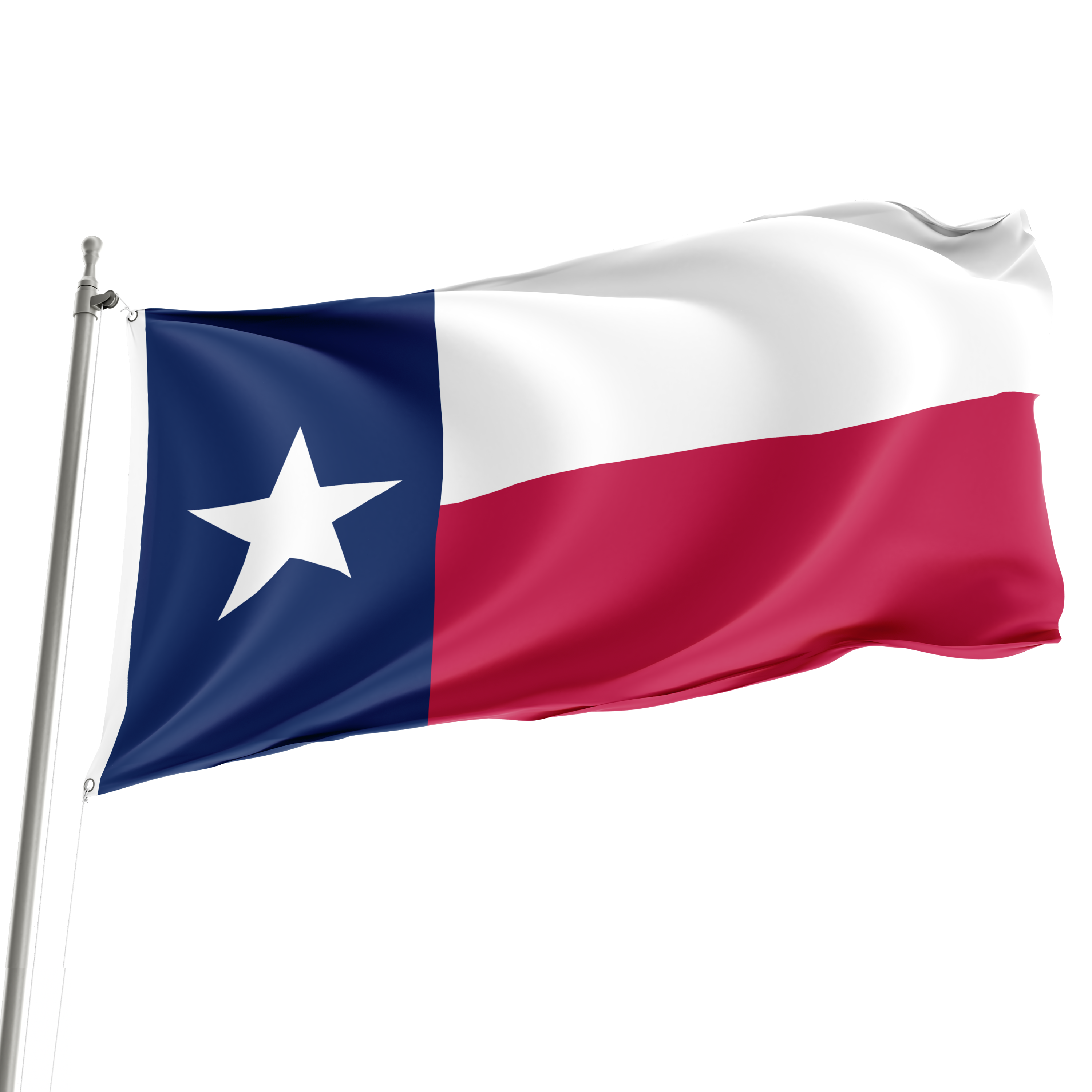 Bandera de Texas de 3' x 5'