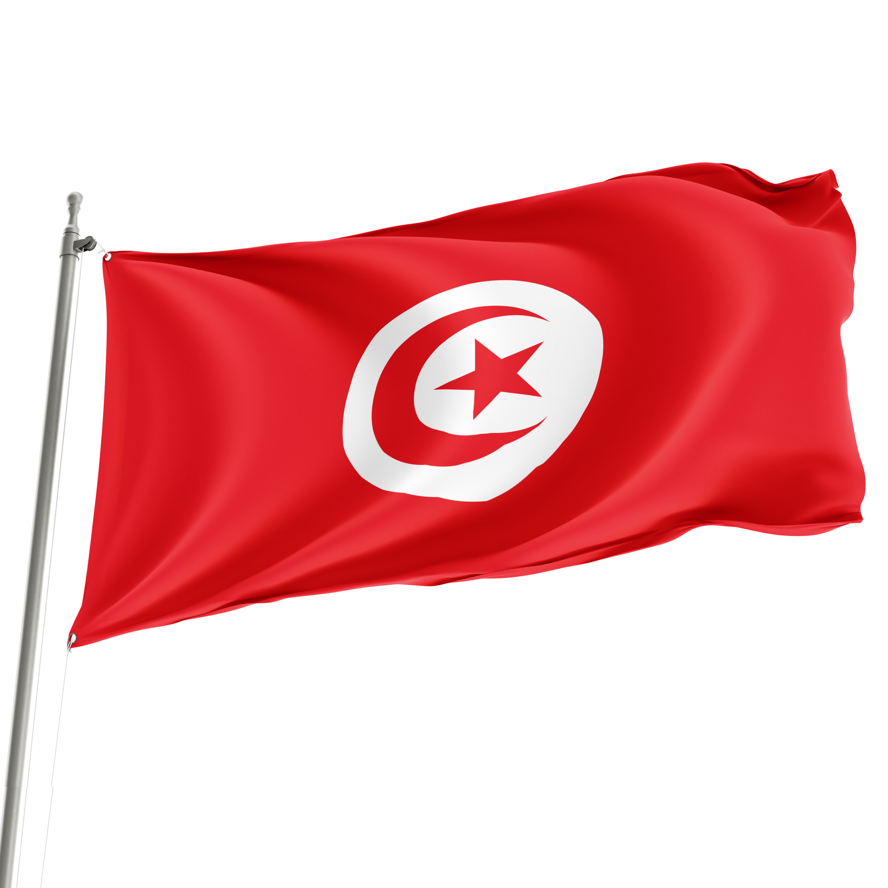 3' x 5' Tunisia Flag
